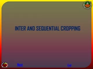 INTER AND SEQUENTIAL CROPPING