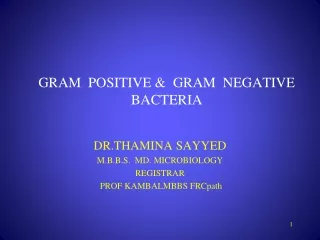GRAM  POSITIVE &amp;  GRAM  NEGATIVE BACTERIA