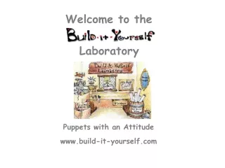 Puppets with an Attitude build-it-yourself