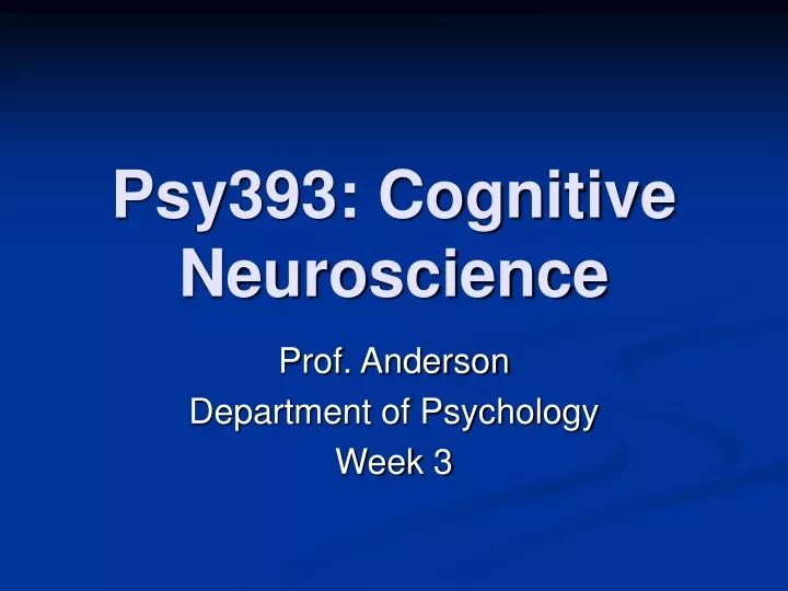 psy393 cognitive neuroscience