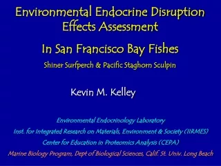 Environmental Endocrine Disruption  Effects Assessment In San Francisco Bay Fishes