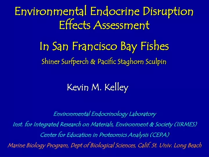 environmental endocrine disruption effects