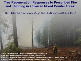 Tree Regeneration Responses to Prescribed Fire and Thinning in a Sierran Mixed Conifer Forest