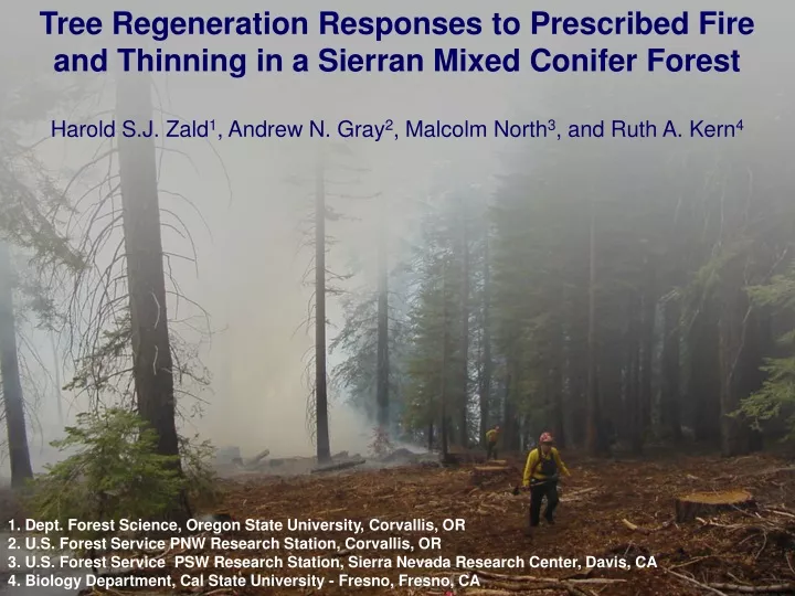 tree regeneration responses to prescribed fire