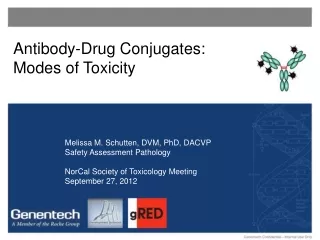 Nonclinical safety evaluation of immunoconjuates