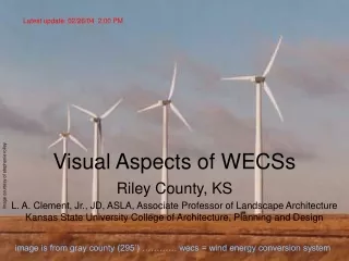Visual Aspects of WECSs