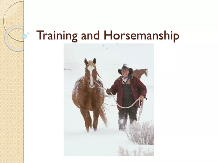training and horsemanship