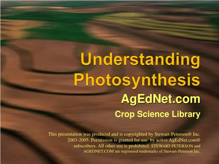 understanding photosynthesis