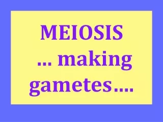 MEIOSIS  … making gametes….