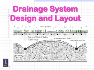 Drainage System Design and Layout