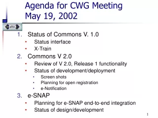Agenda for CWG Meeting  May 19, 2002