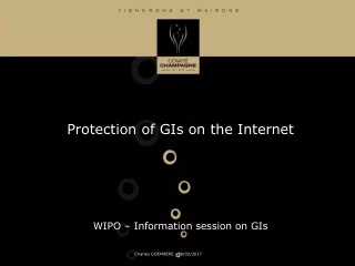 Protection of GIs on the Internet WIPO – Information session on GIs
