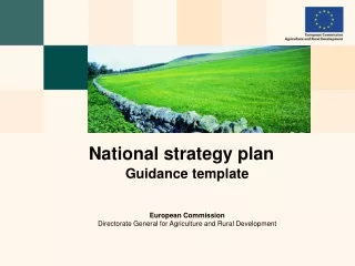 National strategy plan