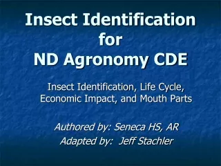 Insect Identification for  ND Agronomy CDE
