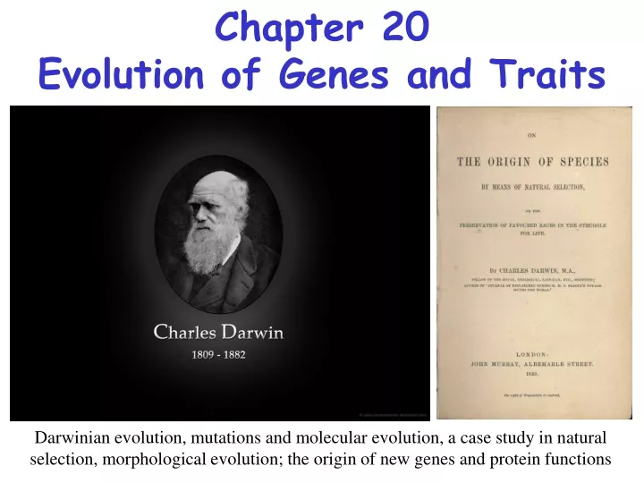 chapter 20 evolution of genes and traits