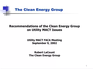 The Clean Energy Group