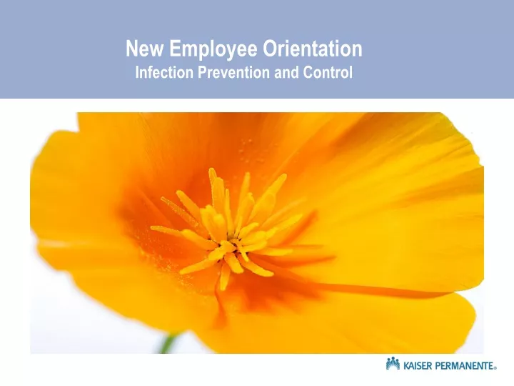 new employee orientation infection prevention and control