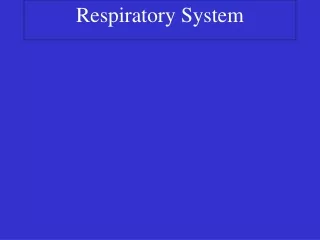 Respiratory System