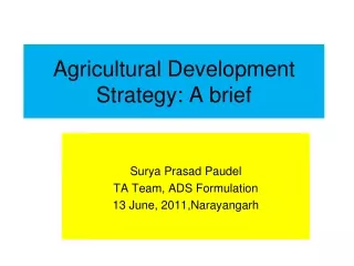 Agricultural Development Strategy: A brief
