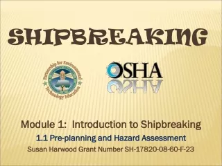 Shipbreaking