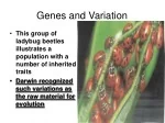 Genes and Variation: Evolutionary Insights - slide 1