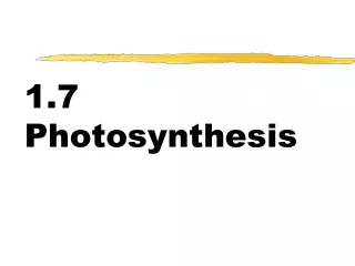 1.7 Photosynthesis
