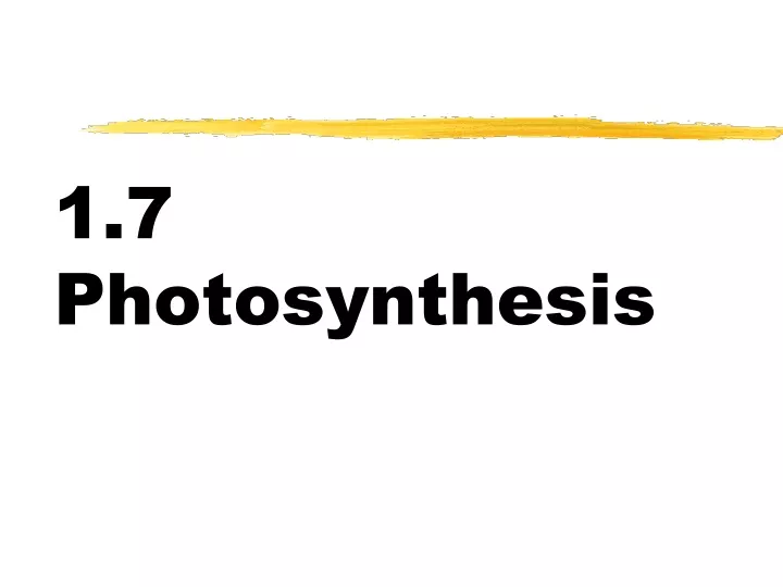 1 7 photosynthesis