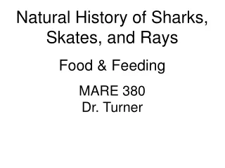 Natural History of Sharks, Skates, and Rays Food &amp; Feeding MARE 380 Dr. Turner