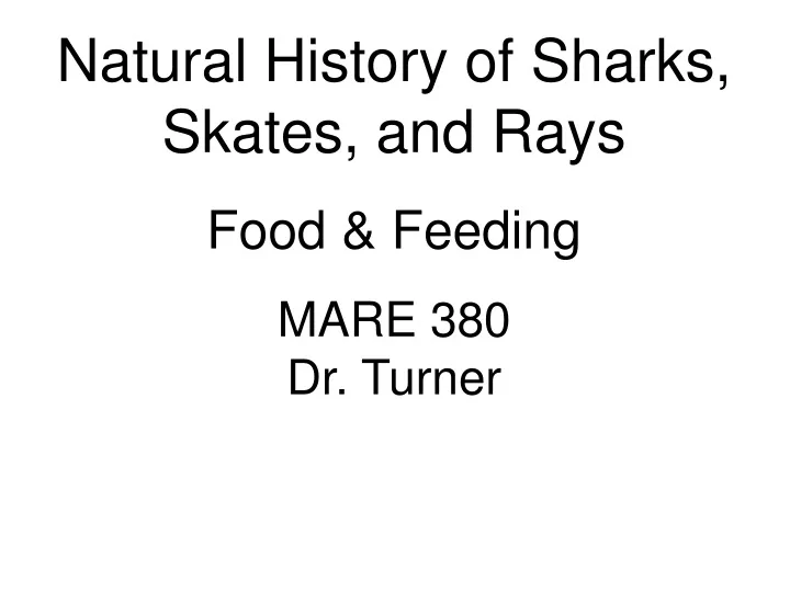 natural history of sharks skates and rays food