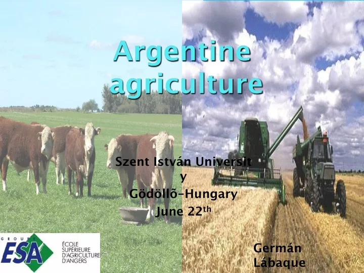 argentine agriculture