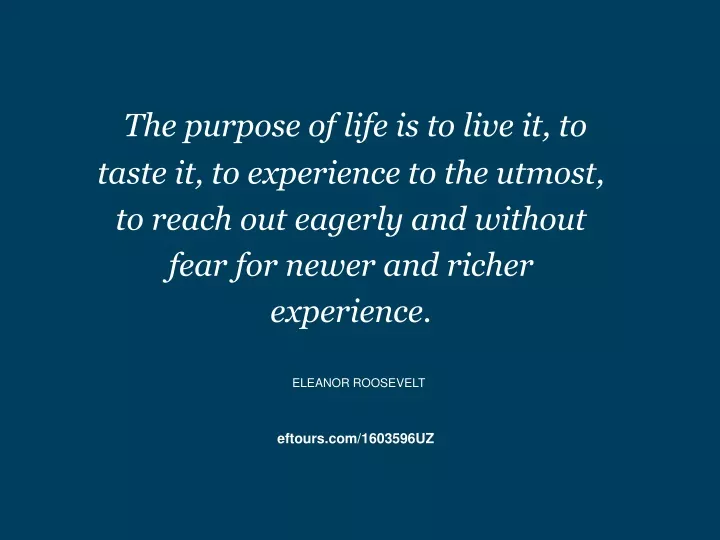 the purpose of life is to live it to taste