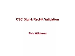 CSC Digi &amp; RecHit Validation