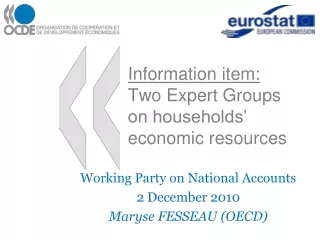 Information item:  Two Expert Groups on households’ economic resources