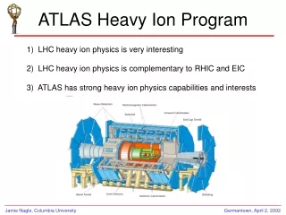 ATLAS Heavy Ion Program