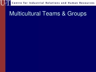 Multicultural Teams &amp; Groups