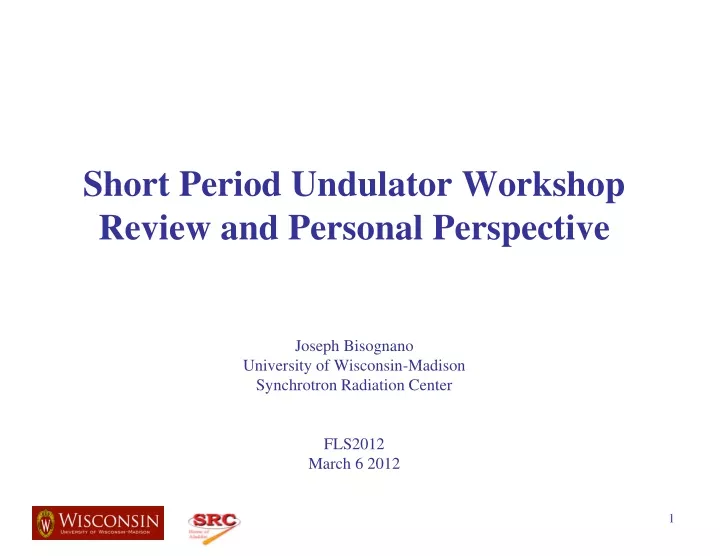 short period undulator workshop review