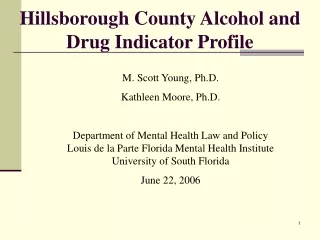 Hillsborough County Alcohol and Drug Indicator Profile