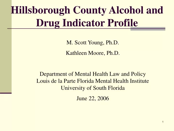 hillsborough county alcohol and drug indicator profile
