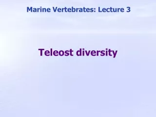 Teleost diversity