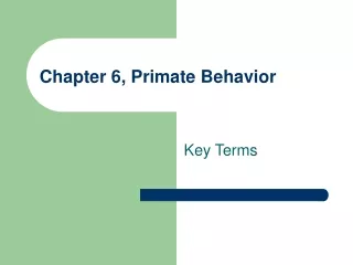 Chapter 6, Primate Behavior