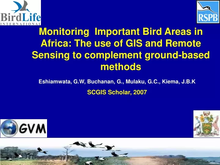 monitoring important bird areas in africa