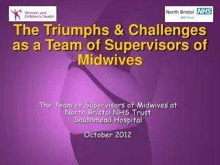 The Triumphs &amp; Challenges as a Team of Supervisors of Midwives