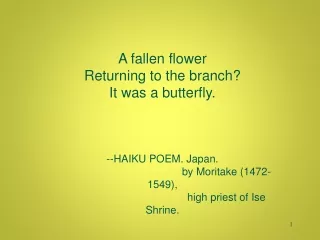A fallen flower Returning to the branch? It was a butterfly. --HAIKU POEM. Japan.