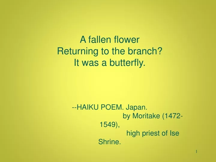 a fallen flower returning to the branch