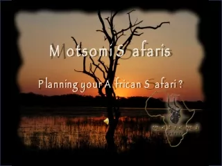 Motsomi Safaris Planning your African Safari ?