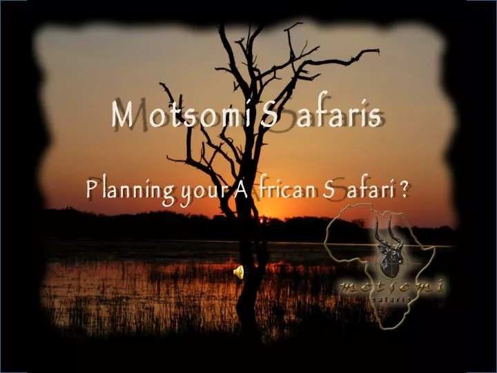 motsomi safaris planning your african safari