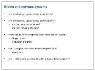 Brains and nervous systems
