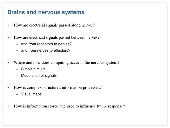 brains and nervous systems
