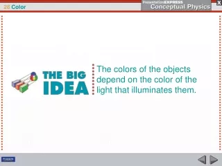 The colors of the objects depend on the color of the light that illuminates them.