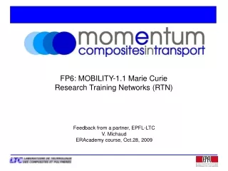 FP6: MOBILITY-1.1 Marie Curie Research Training Networks (RTN)